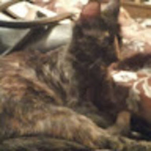 Meet your Posher, Ron